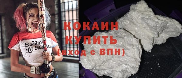 амф Козельск