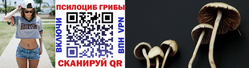 Галлюциногенные грибы Magic Shrooms  цены наркотик  Лиски 